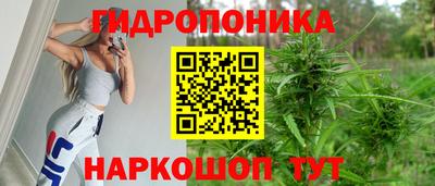 скорость Гусь-Хрустальный
