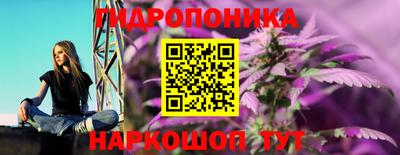 скорость Гусь-Хрустальный