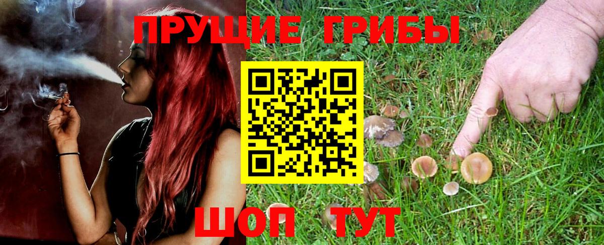Псилоцибиновые грибы Magic Shrooms  Вход с VPN  Галлюциногенные грибы ЛСД  купить наркоту  Ивантеевка 