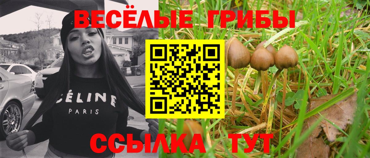 Галлюциногенные грибы ЛСД Ивантеевка
